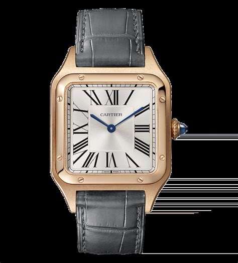 relojes exclusivos cartier santos|relojes cartier modelos.